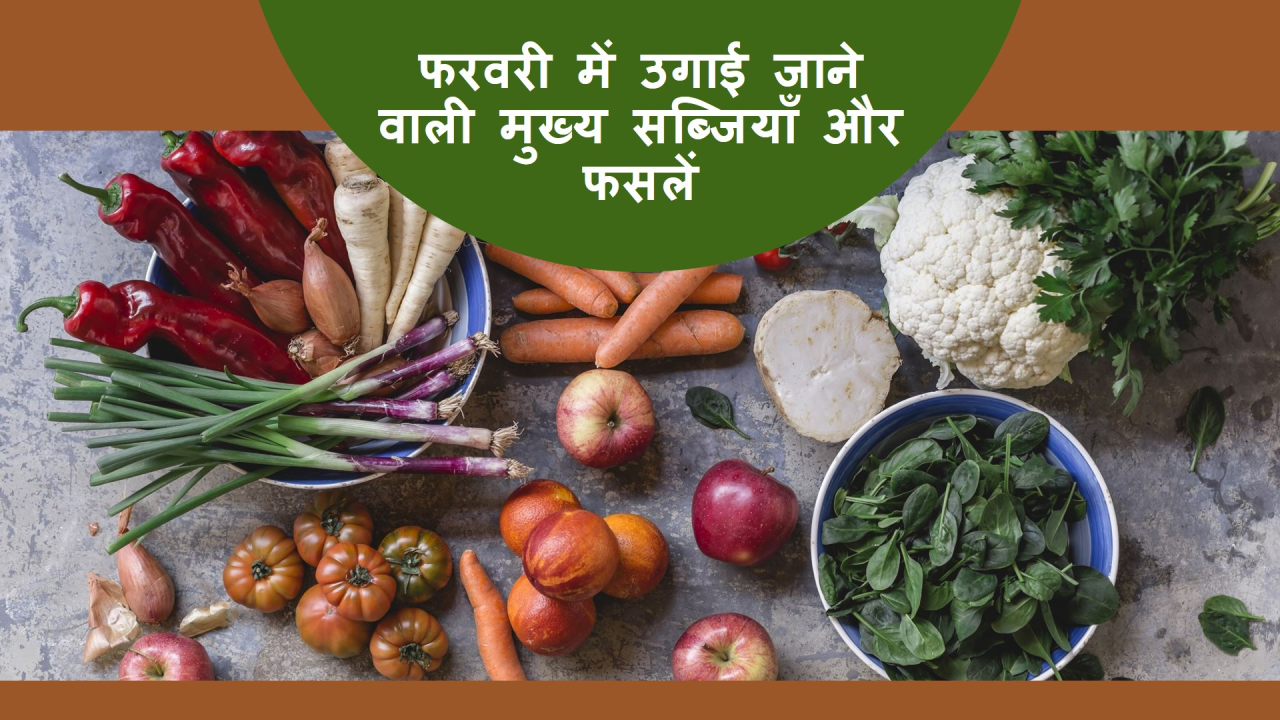 Feb Month Vegetables: फरवरी में उगाएं ये 12 सब्जियां और अप्रैल में पाएं बम्पर कमाई