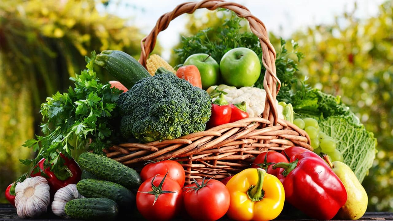 February Month Fasal: फरवरी में करें इन 10 सब्जियों की खेती, कम समय में होगी मोटी बचत, लाखपति बन जाएंगे आप