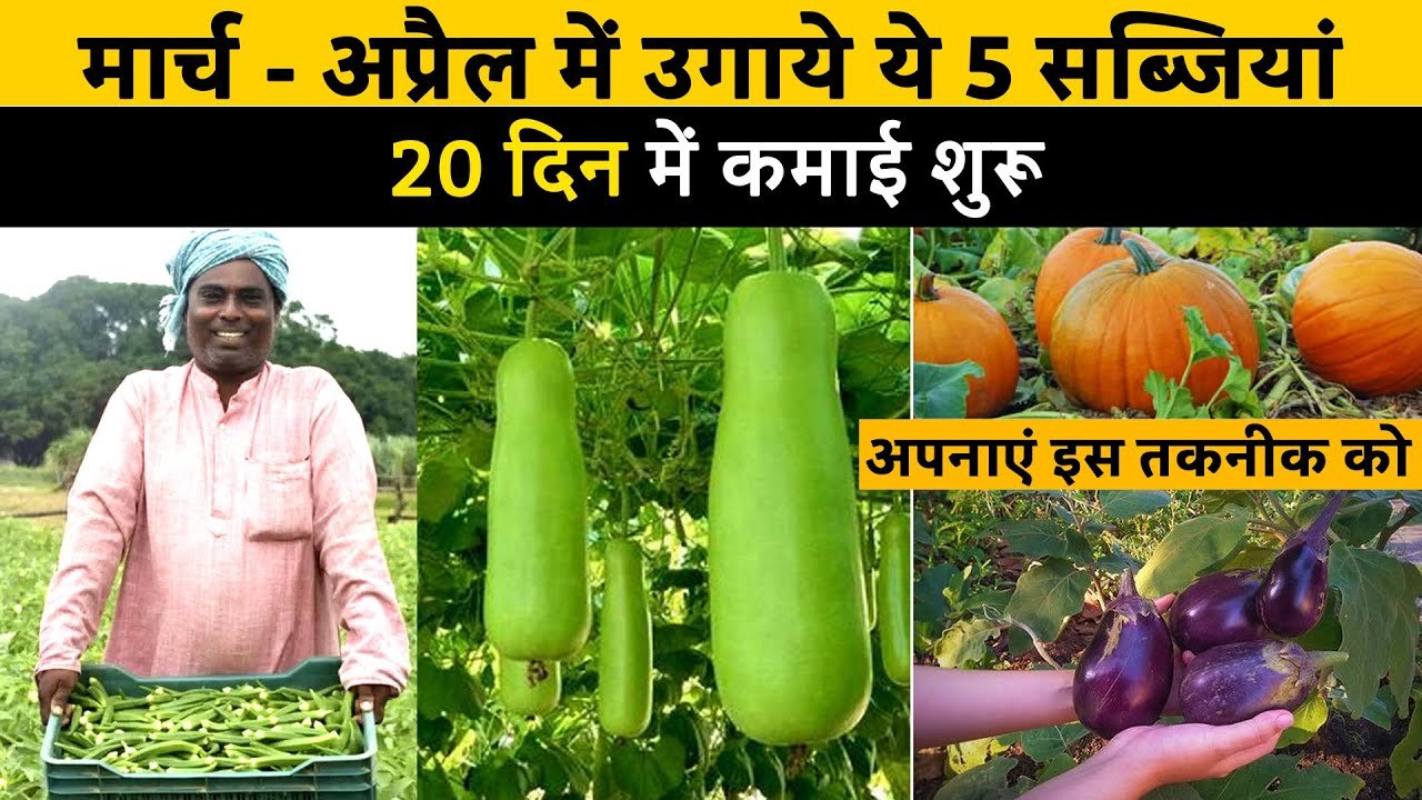 मार्च - अप्रैल में बोई जाने वाली फसल से लाखो कमाये - कम लागत में ज्यादा मुनाफे वाली खेती